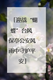 迎战“蝴蝶”台风 保亭公安风雨中守护平安