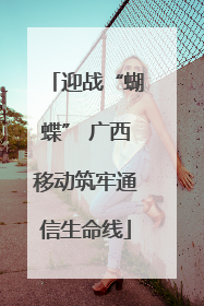 迎战“蝴蝶” 广西移动筑牢通信生命线