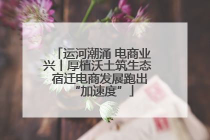 运河潮涌 电商业兴丨厚植沃土筑生态 宿迁电商发展跑出“加速度”