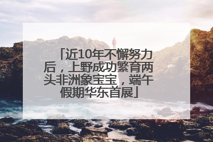 近10年不懈努力后，上野成功繁育两头非洲象宝宝，端午假期华东首展