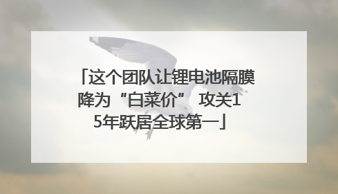 这个团队让锂电池隔膜降为“白菜价” 攻关15年跃居全球第一
