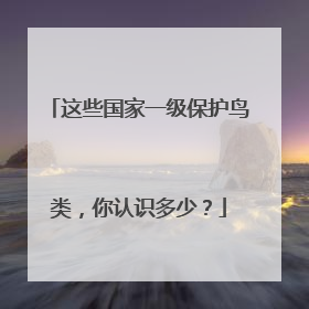 这些国家一级保护鸟类，你认识多少？
