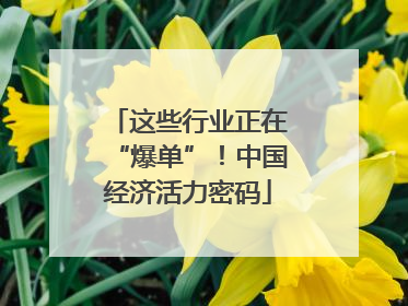 这些行业正在“爆单”！中国经济活力密码
