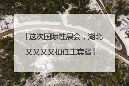 这次国际性展会，湖北又又又又担任主宾省