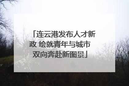 连云港发布人才新政 绘就青年与城市双向奔赴新图景