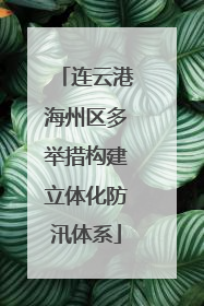 连云港海州区多举措构建立体化防汛体系
