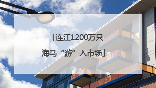 连江1200万只海马“游”入市场