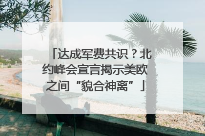 达成军费共识？北约峰会宣言揭示美欧之间“貌合神离”