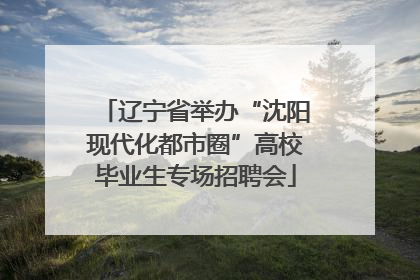 辽宁省举办“沈阳现代化都市圈”高校毕业生专场招聘会