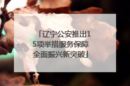 辽宁公安推出15项举措服务保障全面振兴新突破