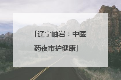 辽宁岫岩：中医药夜市护健康