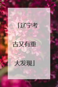 辽宁考古又有重大发现