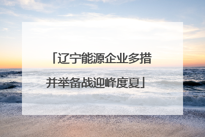 辽宁能源企业多措并举备战迎峰度夏