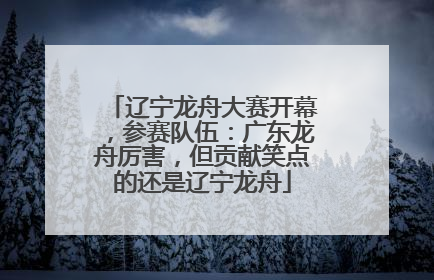 辽宁龙舟大赛开幕，参赛队伍：广东龙舟厉害，但贡献笑点的还是辽宁龙舟