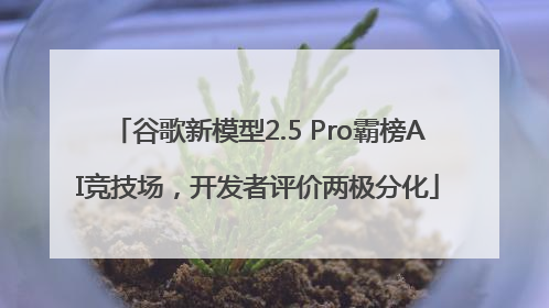 谷歌新模型2.5 Pro霸榜AI竞技场，开发者评价两极分化