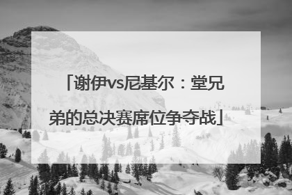谢伊vs尼基尔：堂兄弟的总决赛席位争夺战