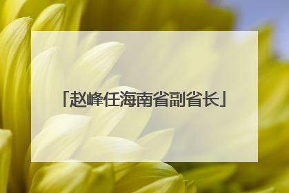 赵峰任海南省副省长