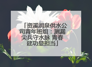 资溪润泉供水公司青年班组：测漏尖兵守水脉 青春建功显担当