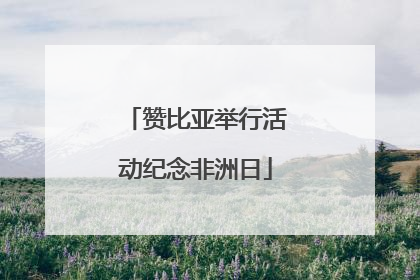 赞比亚举行活动纪念非洲日