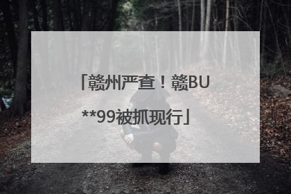 赣州严查！赣BU**99被抓现行