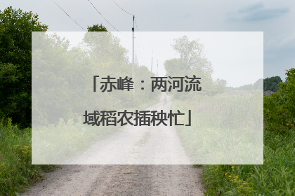 赤峰：两河流域稻农插秧忙
