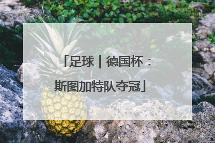 足球｜德国杯：斯图加特队夺冠