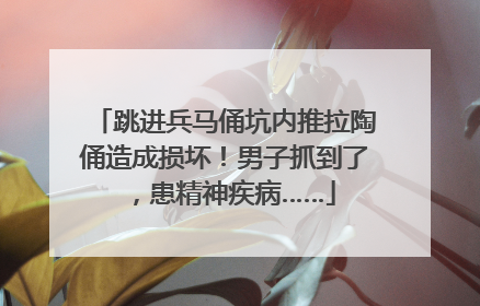 跳进兵马俑坑内推拉陶俑造成损坏!男子抓到了,患精神疾病……