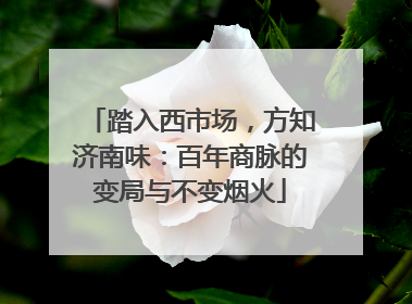 踏入西市场，方知济南味：百年商脉的变局与不变烟火