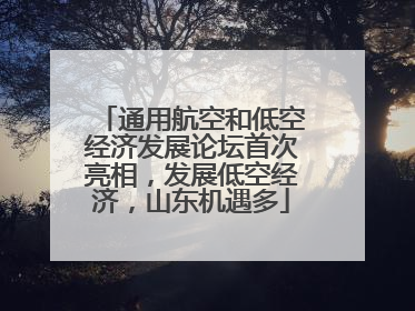 通用航空和低空经济发展论坛首次亮相，发展低空经济，山东机遇多