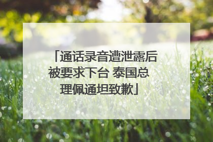 通话录音遭泄露后被要求下台 泰国总理佩通坦致歉