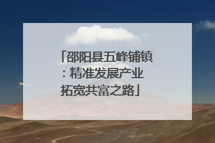 邵阳县五峰铺镇：精准发展产业 拓宽共富之路