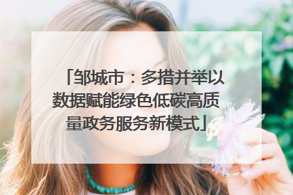 邹城市：多措并举以数据赋能绿色低碳高质量政务服务新模式