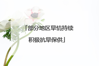 部分地区旱情持续 积极抗旱保供