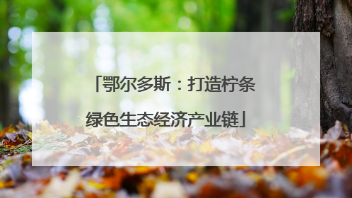 鄂尔多斯：打造柠条绿色生态经济产业链