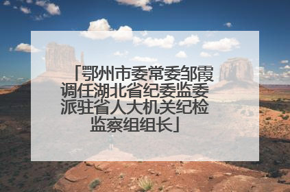 鄂州市委常委邹霞调任湖北省纪委监委派驻省人大机关纪检监察组组长
