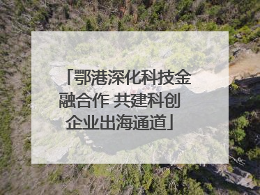 鄂港深化科技金融合作 共建科创企业出海通道