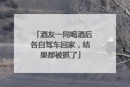 酒友一同喝酒后各自驾车回家，结果都被抓了