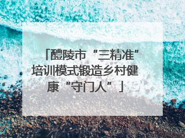 醴陵市“三精准”培训模式锻造乡村健康“守门人”