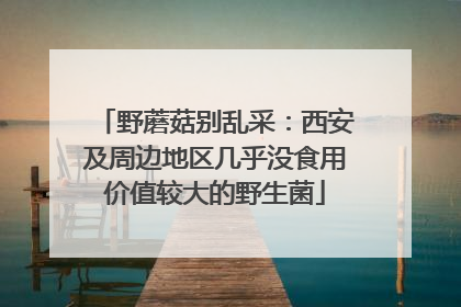 野蘑菇别乱采：西安及周边地区几乎没食用价值较大的野生菌