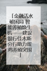 金融活水破困局 智能养殖焕生机——建设银行佳木斯分行助力蛋鸡养殖突围