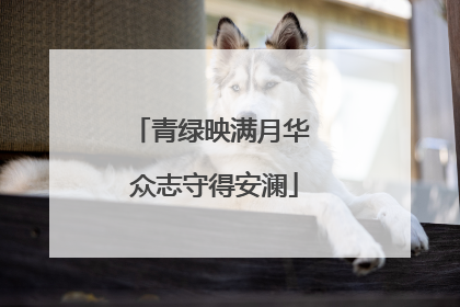 青绿映满月华 众志守得安澜
