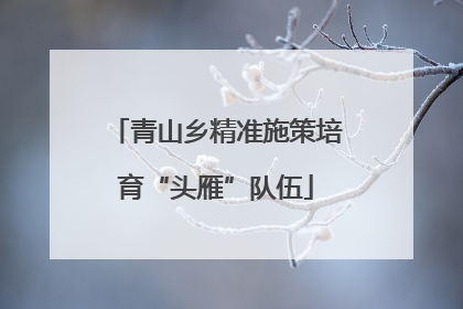 青山乡精准施策培育“头雁”队伍