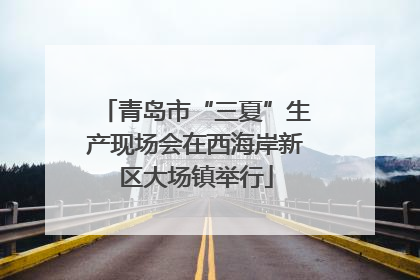 青岛市“三夏”生产现场会在西海岸新区大场镇举行
