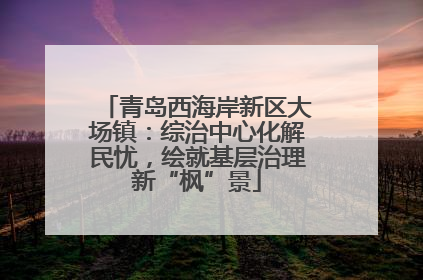 青岛西海岸新区大场镇：综治中心化解民忧，绘就基层治理新“枫”景