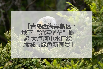 青岛西海岸新区：地下“治污堡垒”崛起 大卢河中水厂绘就城市绿色新图景