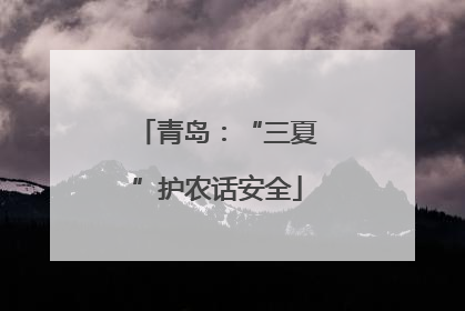 青岛：“三夏”护农话安全