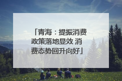 青海：提振消费政策落地显效 消费态势回升向好