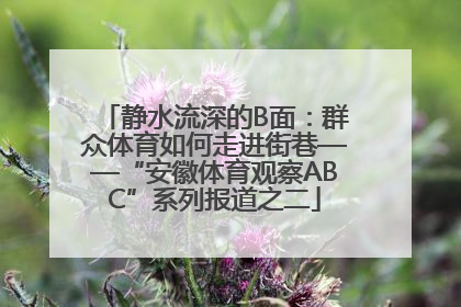 静水流深的B面：群众体育如何走进街巷——“安徽体育观察ABC”系列报道之二