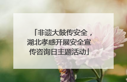 非遗大鼓传安全，湖北孝感开展安全宣传咨询日主题活动