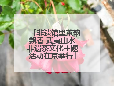 非遗馆里茶韵飘香 武夷山水非遗茶文化主题活动在京举行